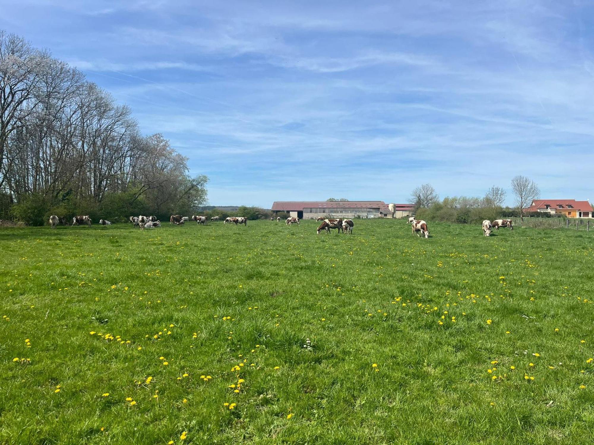 Studio Au Coeur De La Vannerie Fays-Billot Zewnętrze zdjęcie